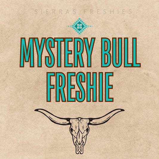 Mystery Large Aztec Bull