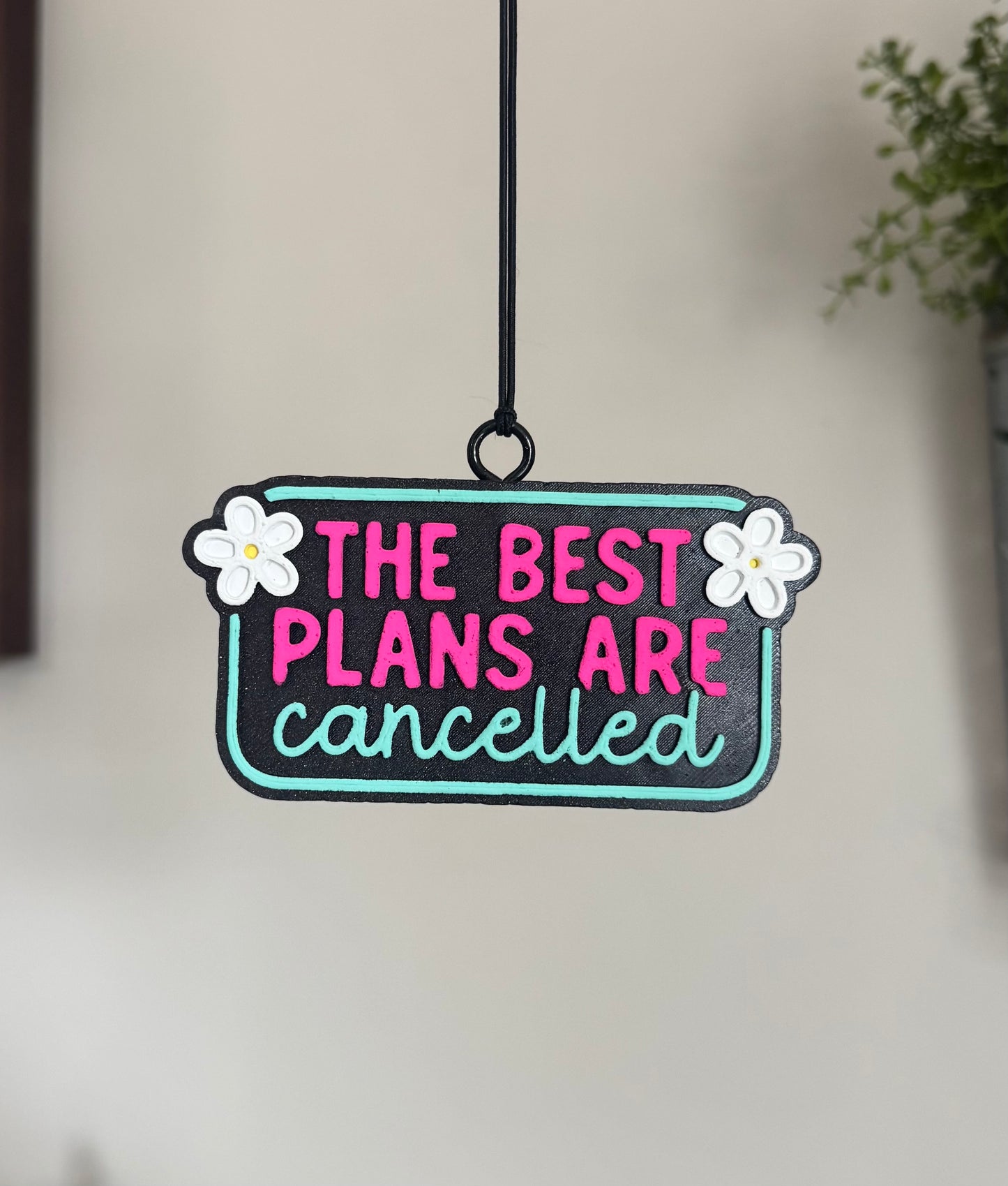 Cancelled plans